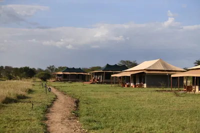 DSC_3692 (Large).JPG